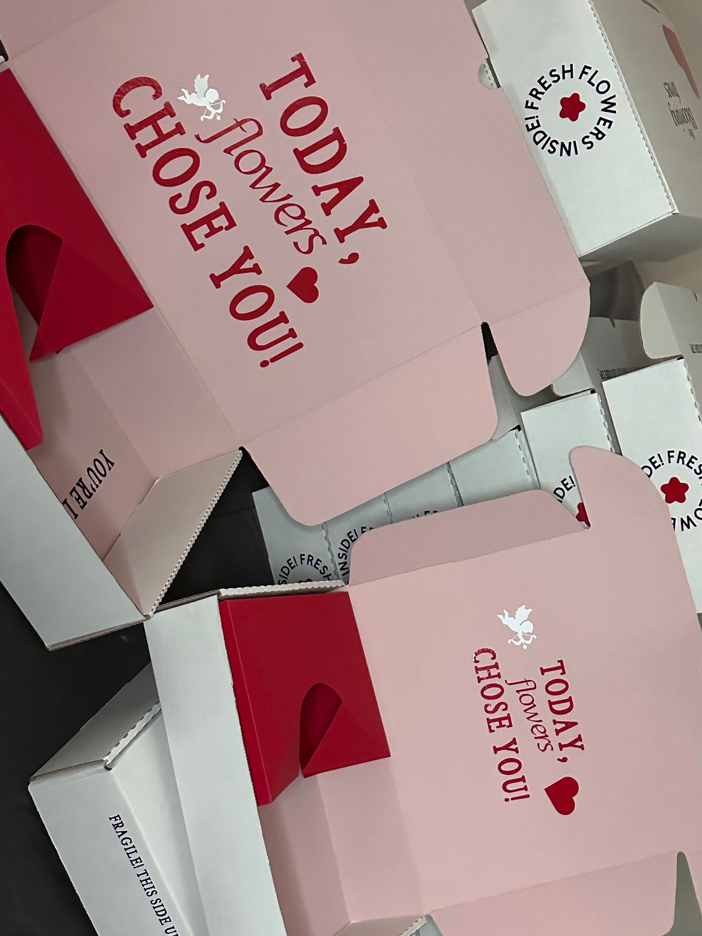 Mini BloomBox TBT