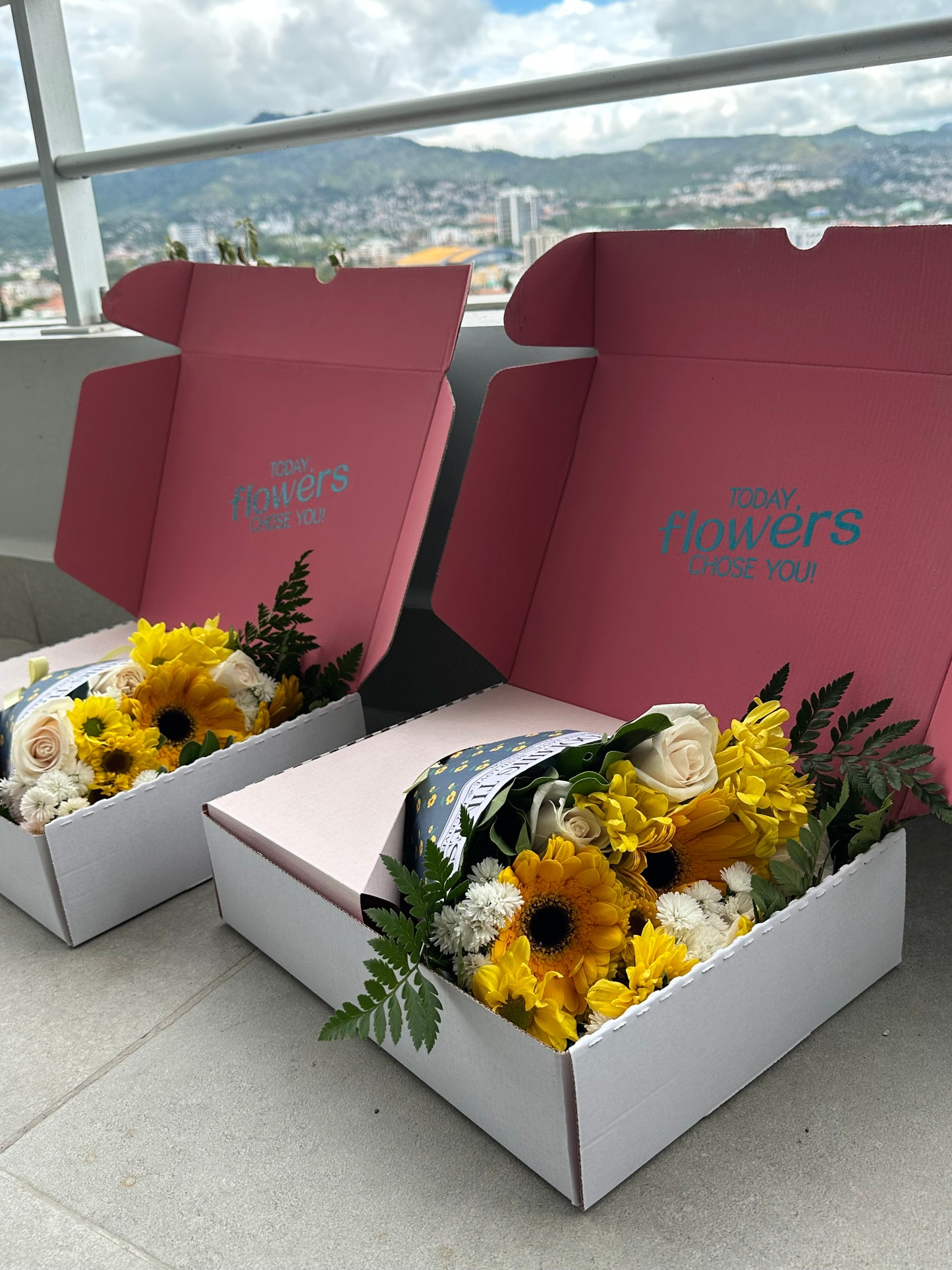 Mini BloomBox TBT