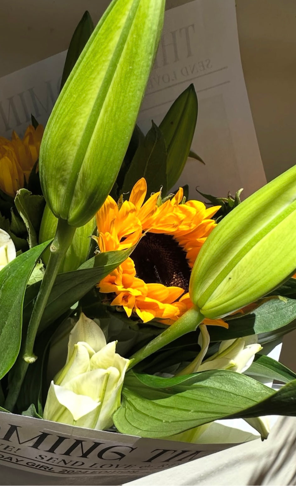 Lilies