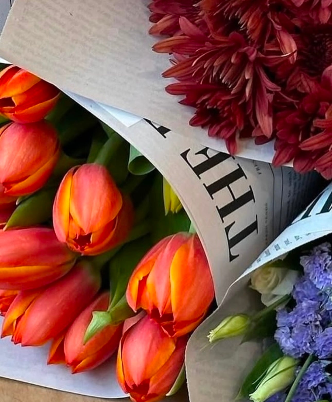 Tulips